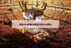 孙悦nba数据(孙悦效力的nba球队)